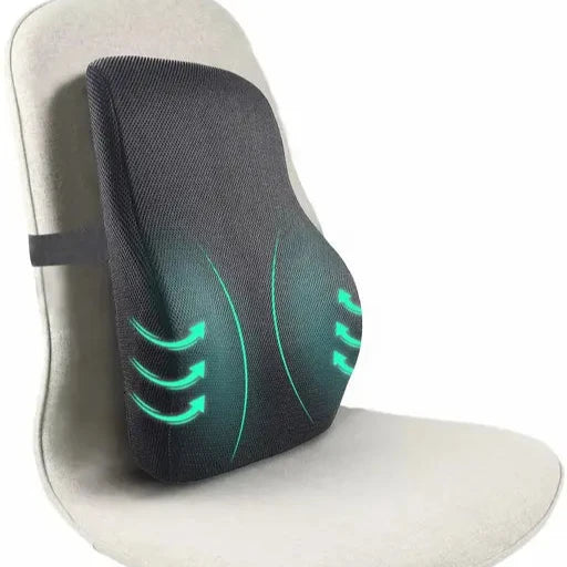 Sleepsia Lumbar Support Memory Foam Back Cushion